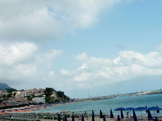 Cavalluccio Di Mare