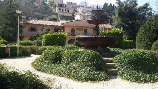 Ragno d'Oro