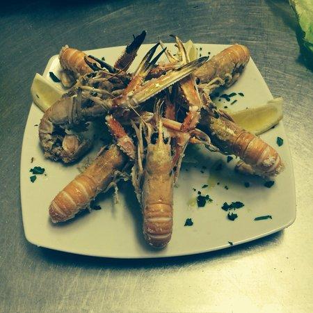 Chalet Tucano