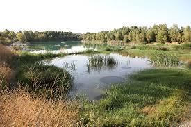 Lago Vicini