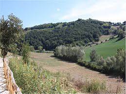 Orto botanico Selva di Gallignano