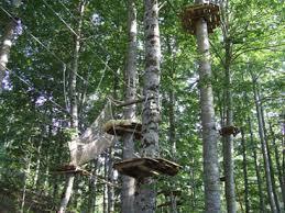 Quercus Park