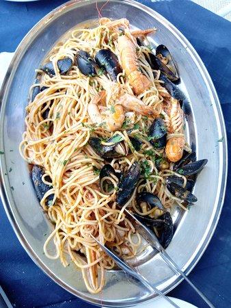 Leone di Mare