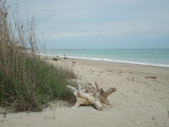 Riserva Naturale Sentina
