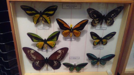 Museo di Storia Naturale