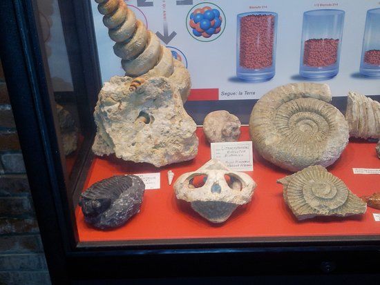 Museo dei Fossili Minerali del Monte Nerone