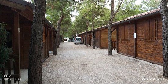 Camping Pineta